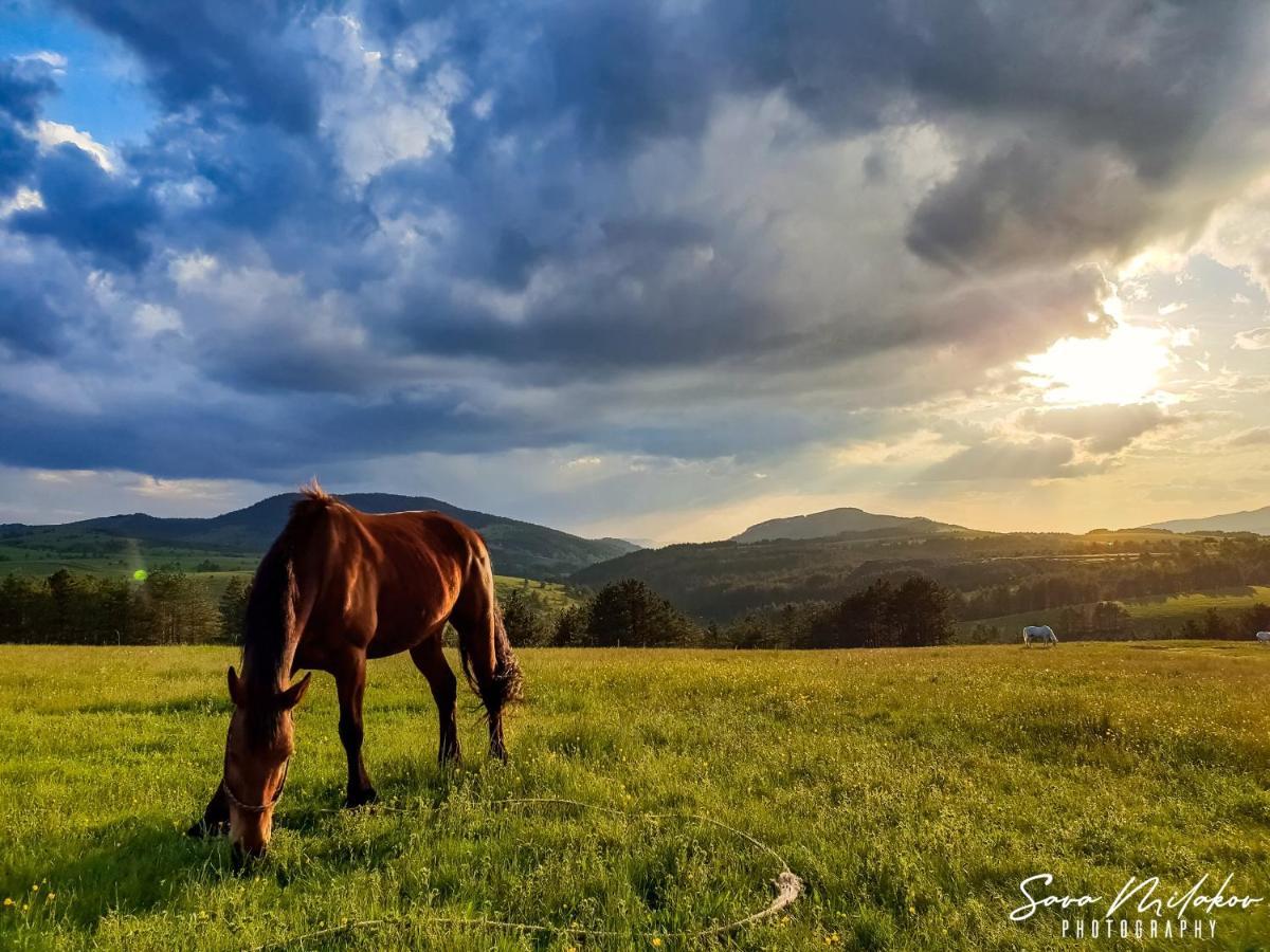 Apartman 65 Zlatibor Exteriör bild